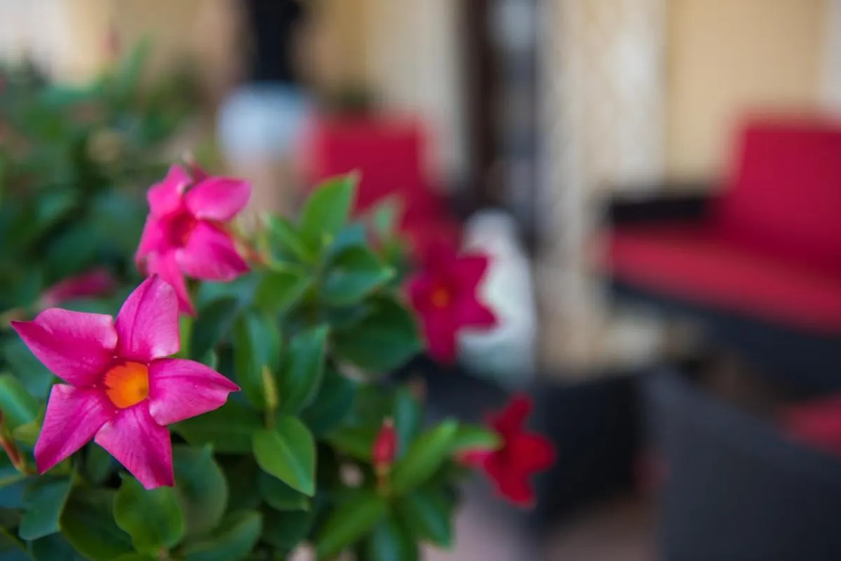 Kibari B&B Bed & Breakfast Bari